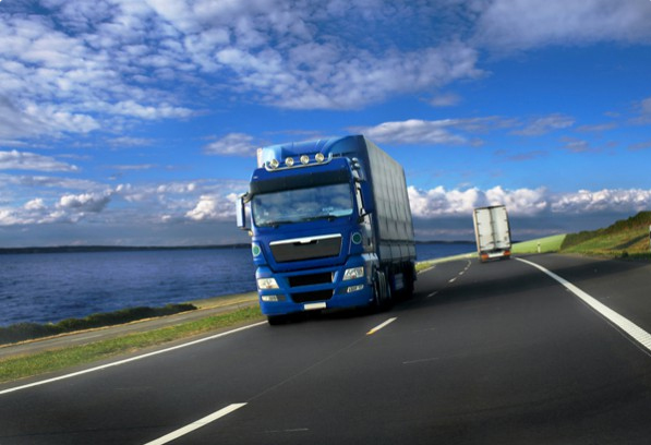 TRANSPORT LAMUR